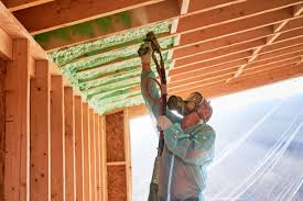 Best Basement Insulation  in Nellieburg, MS